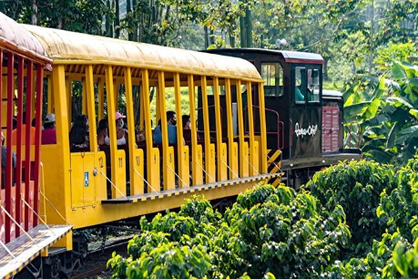 Tren-Parque-del-Cafe