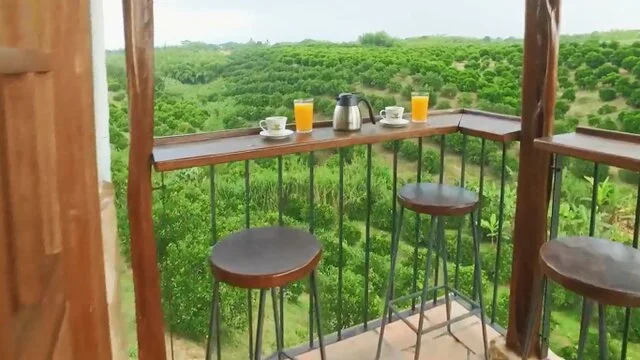 Escápate al Quindío hotel rural