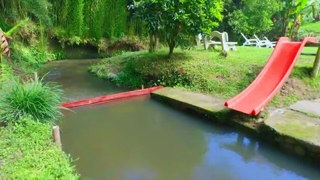  Descubre Nuestro Sueño y Conéctate con la Naturaleza